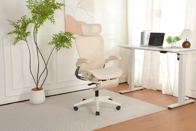 HAUSS SPOLE Bureaustoel - Ergonomisch Inklapbaar Met 3D Hoofdsteun, Lendensteun En Kantelfunctie - Voor Kantoor, Studie En Gamen - Mesh Crème