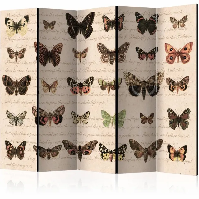 karo-art Vouwscherm - Retro Style: Vlinders 225x172cm , gemonteerd geleverd, dubbelzijdig geprint (kamerscherm) Multikleur