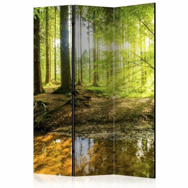 karo-art Vouwscherm - Zonlicht in het bos 135x172cm , gemonteerd geleverd (kamerscherm) dubbelzijdig geprint Multikleur