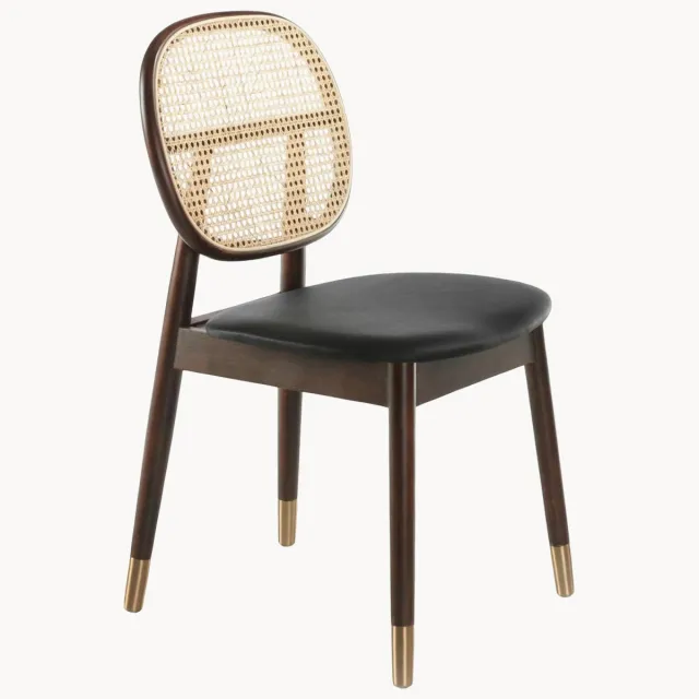 Angel Cerdá Rotan & kunstleer eetstoelen Daria, 2-delig Kleurrijk