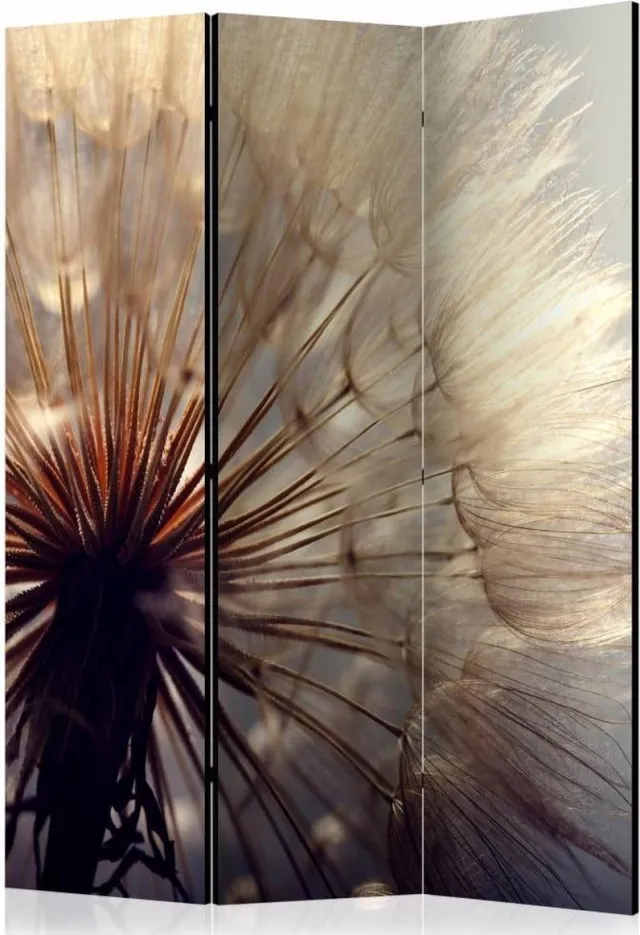 karo-art Vouwscherm - Kamerscherm - Kus van de paardenbloem 135x172cm , gemonteerd geleverd, dubbelzijdig geprint Multikleur