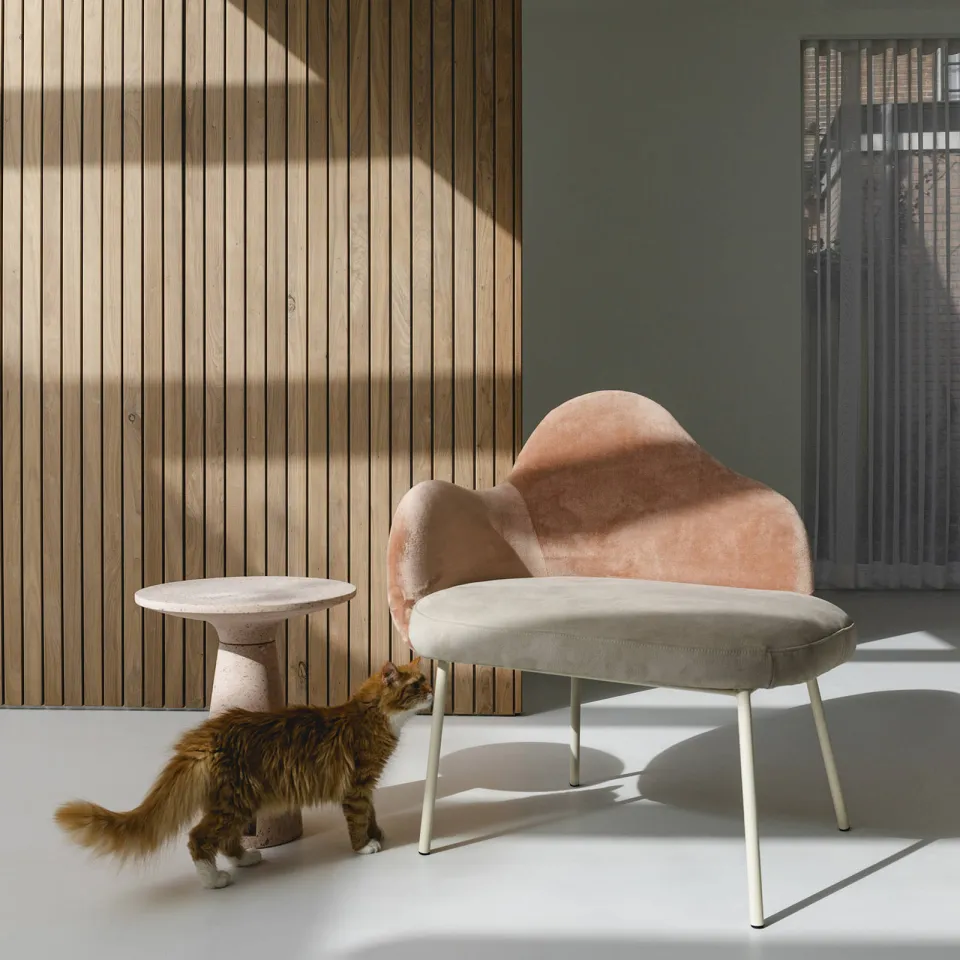 Zuiver fauteuil Friuli roze, foto 2
