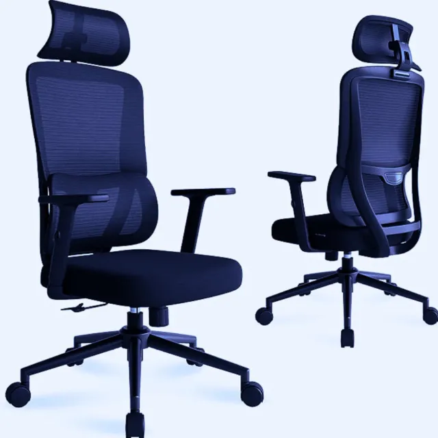 BOG Ergonomische Bureaustoel Met Automatische Lendensteun En Verstelbare Hoofdsteun – Zwart - 2D Armleuningen - Perfect Voor Thuisgebruik