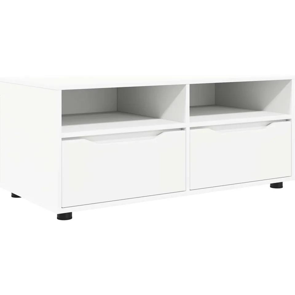 vidaXL TV-kast 100 x 48 x 43 cm Wit Bewerkt hout, foto 3