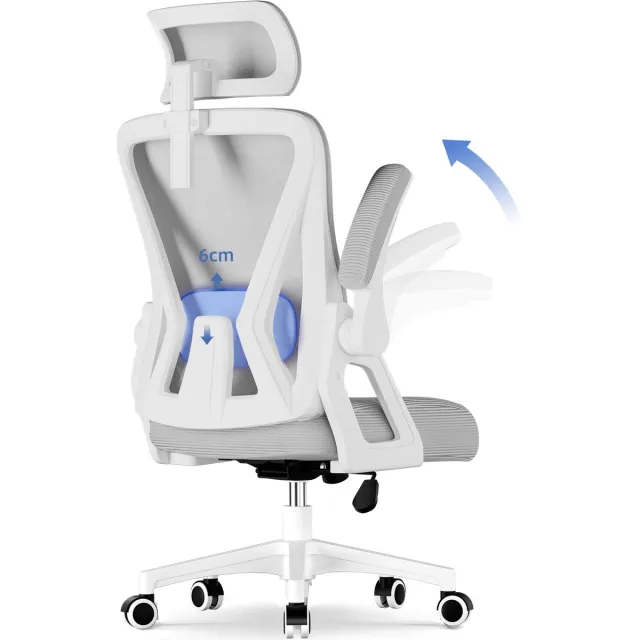 Hiaonyx bureaustoel-ergonomische bureaustoel-bureaustoelen voor volwassenenOpklapbare armleuningen-2D lendensteun-Maximale kanteling 135°-Grijs