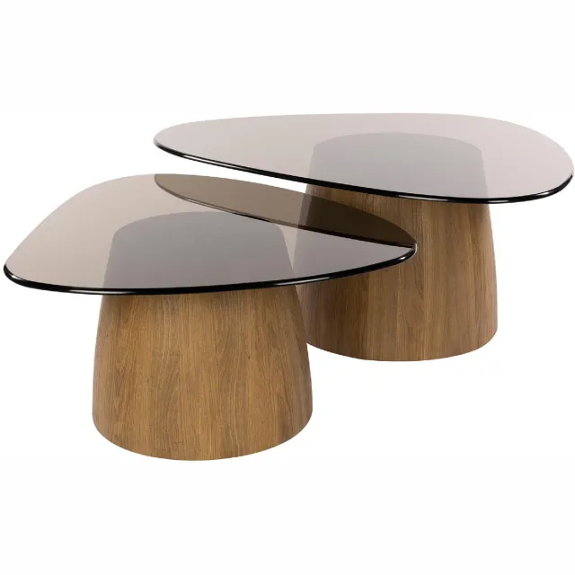 Nest of Nora Salontafel Arlen - Driehoekige vormen set van 2 - Brons glas rookglas
