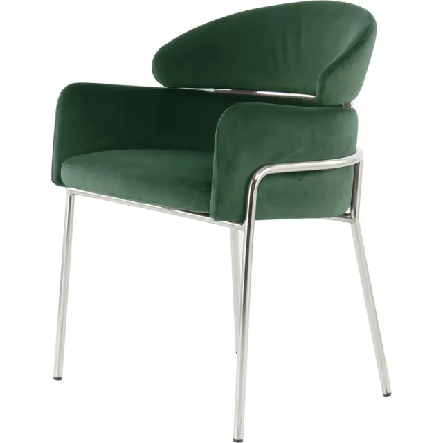 LaleeAvenue Floraya - Eetkamerstoel Elva - Groen/Zilver - 57x58x79cm (LxBxH) - Maximaal draagvermogen