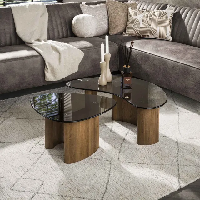 G***-M Giga Meubel Salontafel Tinto - Organisch Brons Glas - Set van 2