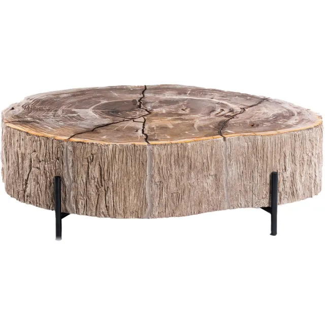 PTMD Taly Natural Petrified Coffeetable Fiberglass Bruin