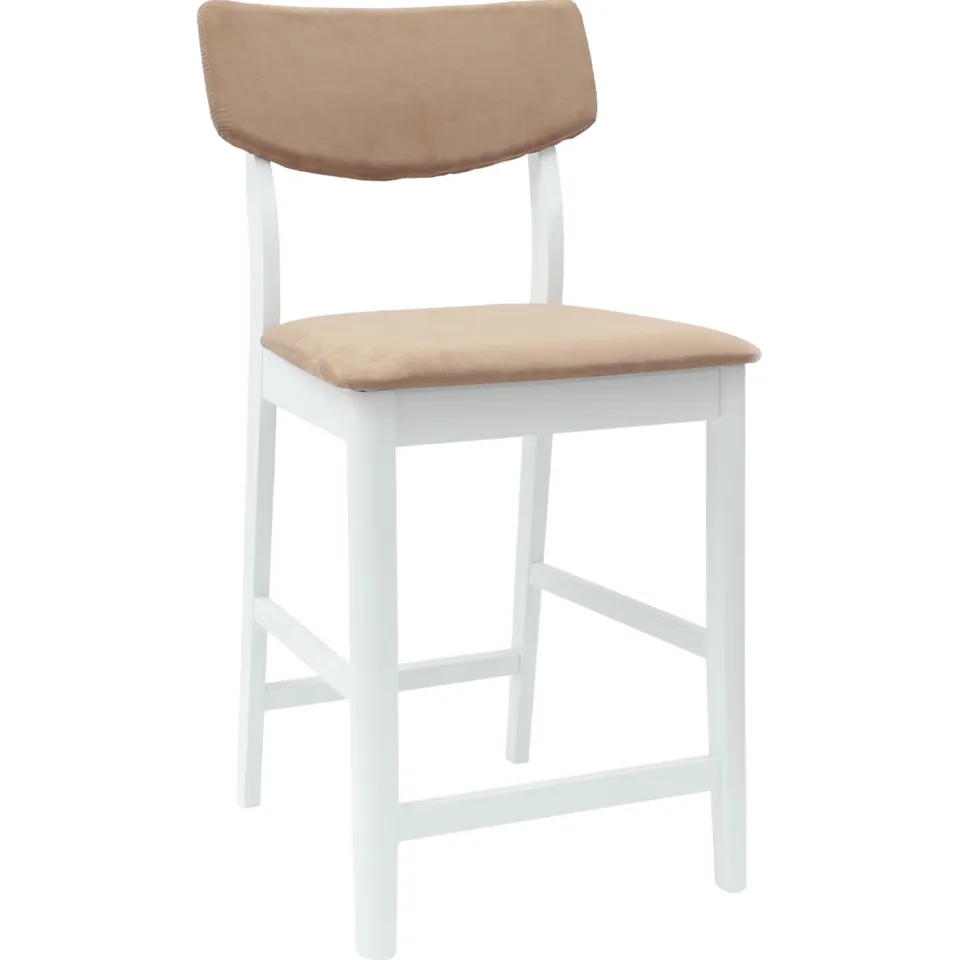 vidaXL Eettafelstoelen 2 st Massief Rubberhout Wit 48 x 49 x 95 cm, foto 4