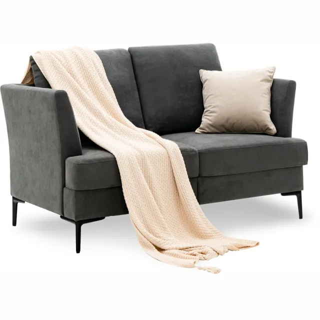 Costway Tweezitsbank, modern, stoffen bank, gestoffeerde bank, grijs, voor 2-3 personen, loungesofa in de woonkamer, slaapkamer