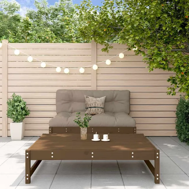 vidaXL 2-delige Loungeset met kussens massief hout honingbruin