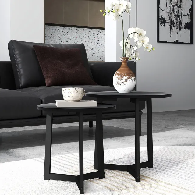 FloraGrace Salontafel Set van 2 Ronde Tafels met Stalen Onderstel Flexibel voor de Woonkamer MDF en Staal 48 cm Diameter en 40 cm Diameter Zwart
