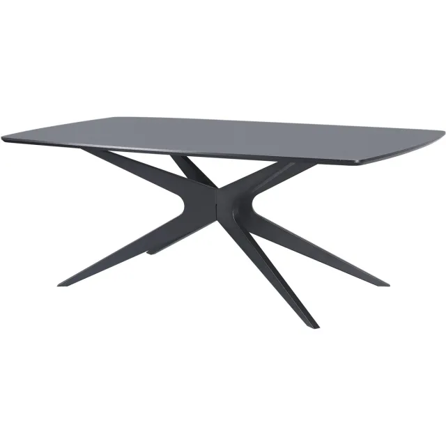 Notio Living Eettafel 200x100 cm 8 plaatsen in houtlook zwart