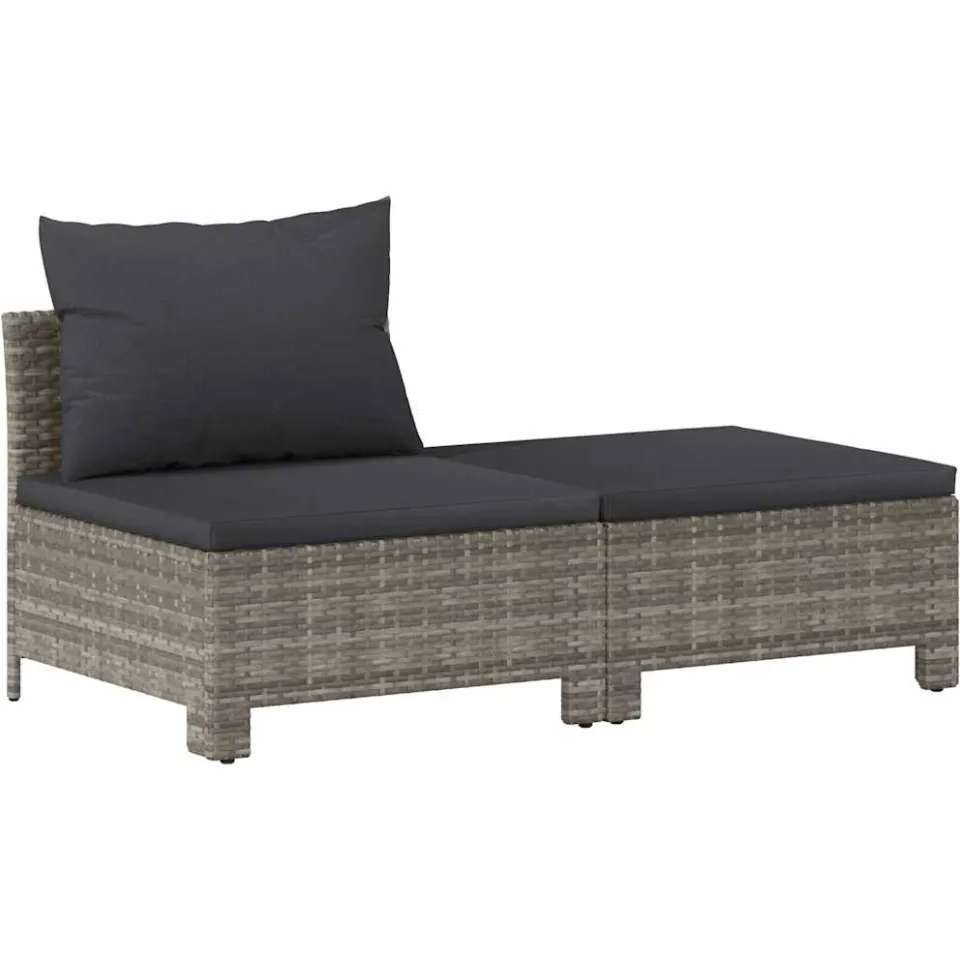 vidaXL 2-delige tuinloungeset met kussens grijs poly rattan