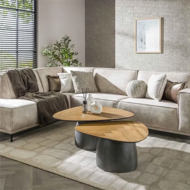 Meubelplaats Salontafel set/2 infinite - Gerecycled teakhout fineer Naturel