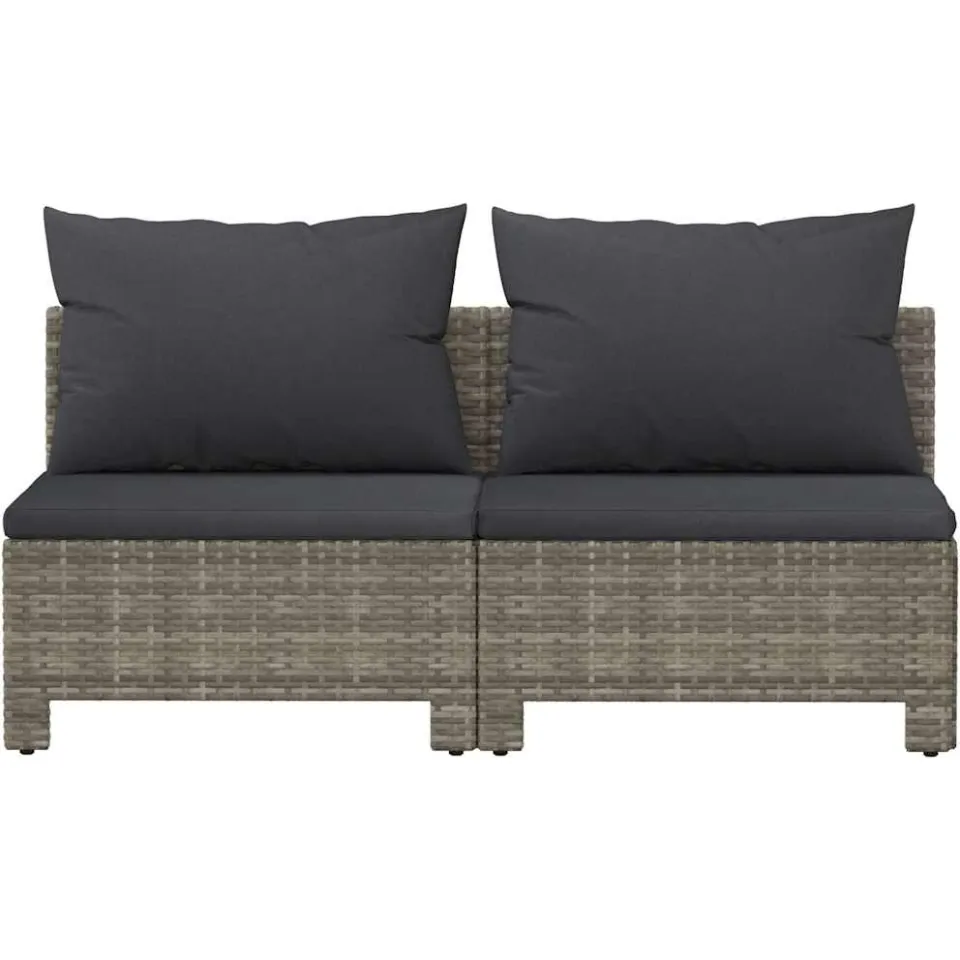 vidaXL Tuinbank 2-zits met kussens poly rattan grijs, foto 4