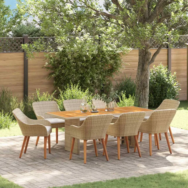 vidaXL Tuin eettafelset 9 st Beige poly rattan, foto 2