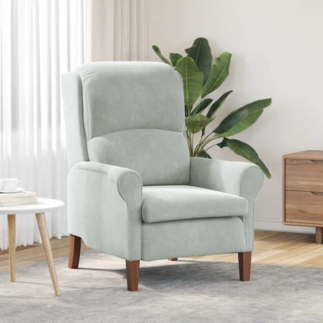 vidaXL Fauteuil Lichtgrijs Fluweel