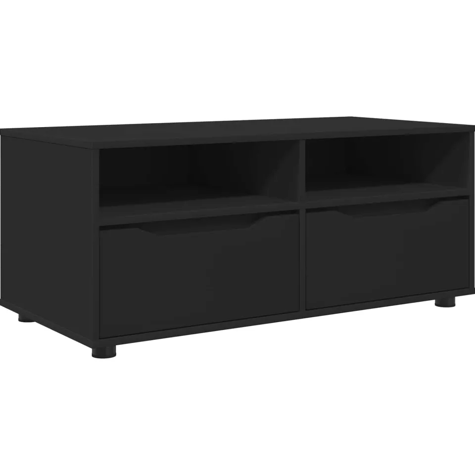 vidaXL TV-kast 100 x 48 x 43 cm Zwart Bewerkt hout, foto 3