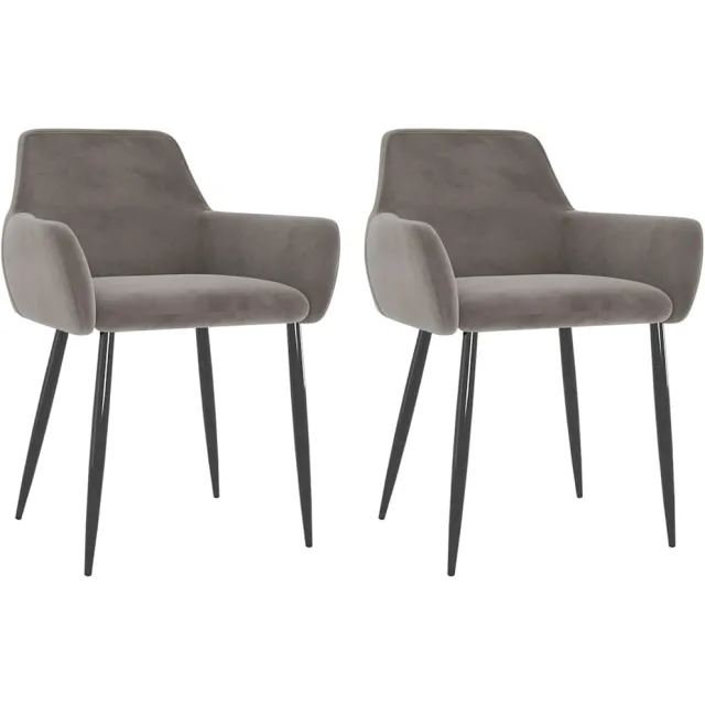 vidaXL Eetkamerstoelen 2 st fluweel lichtgrijs
