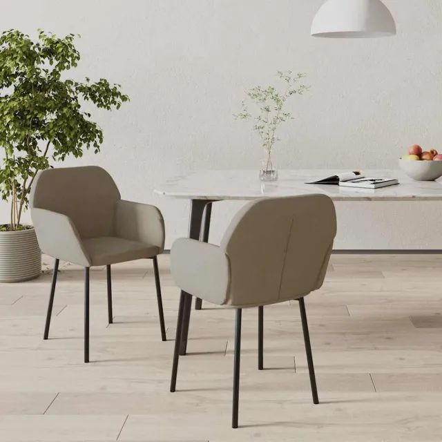 vidaXL Eetkamerstoelen 2 st fluweel lichtgrijs grijs, foto 2