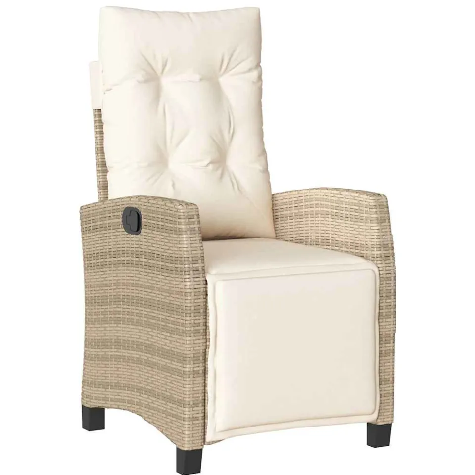 vidaXL 9-delige Tuinset met kussens poly rattan beige