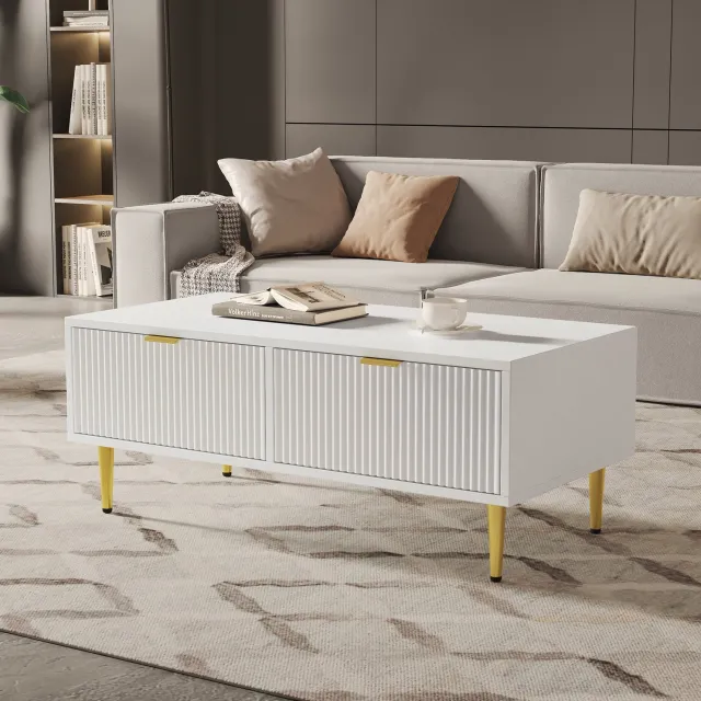 Maisentiel Salontafel 100 x 50 x 40 cm met 2 lades, MDF, wit met gouden accenten